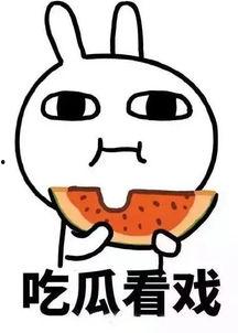 娱乐吃瓜酱内向,内向者的快乐生活指南